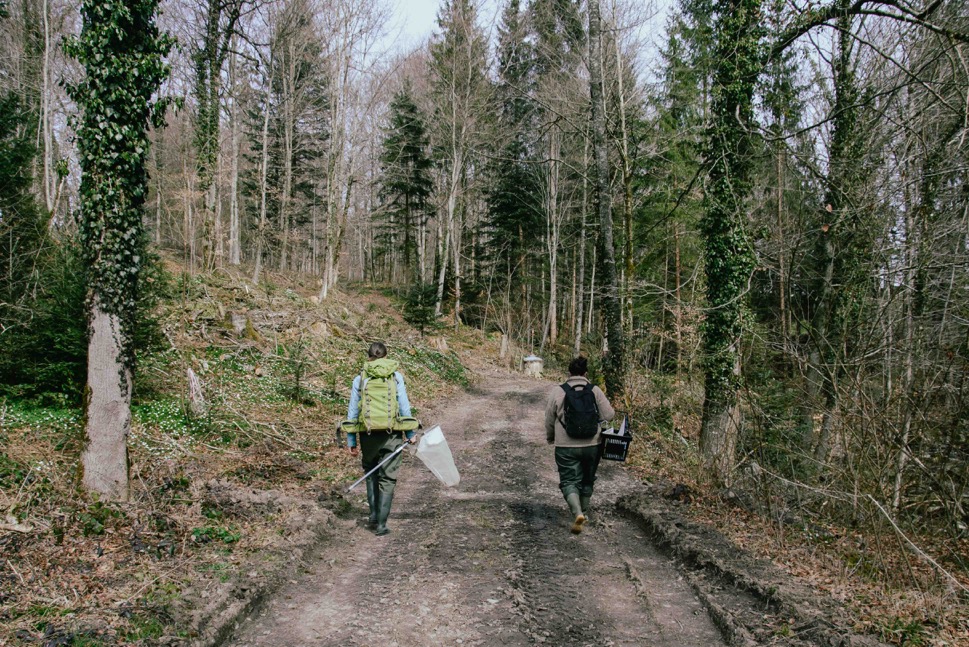 environment, labo, people