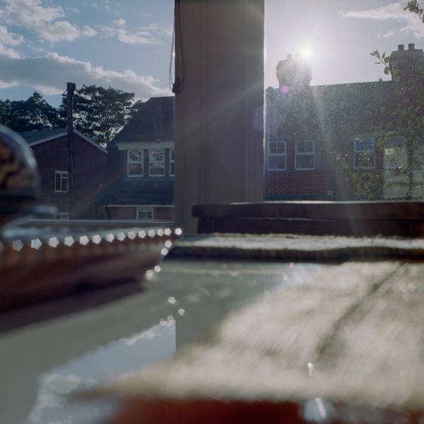 british neighborhood, red houses, cat, swimming pool, home rooms